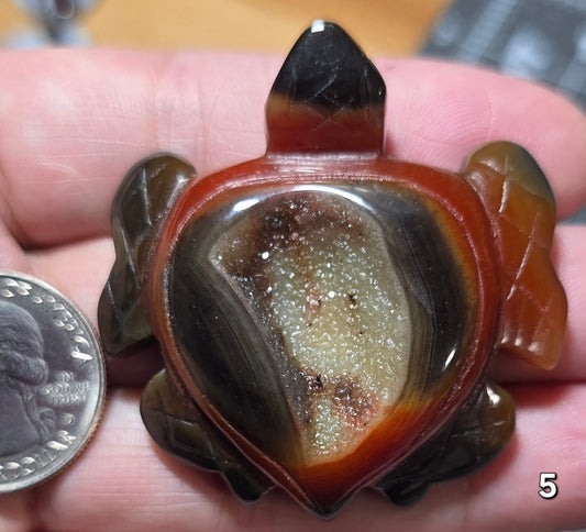 #5 Carnelian Druzy Sea Turtle