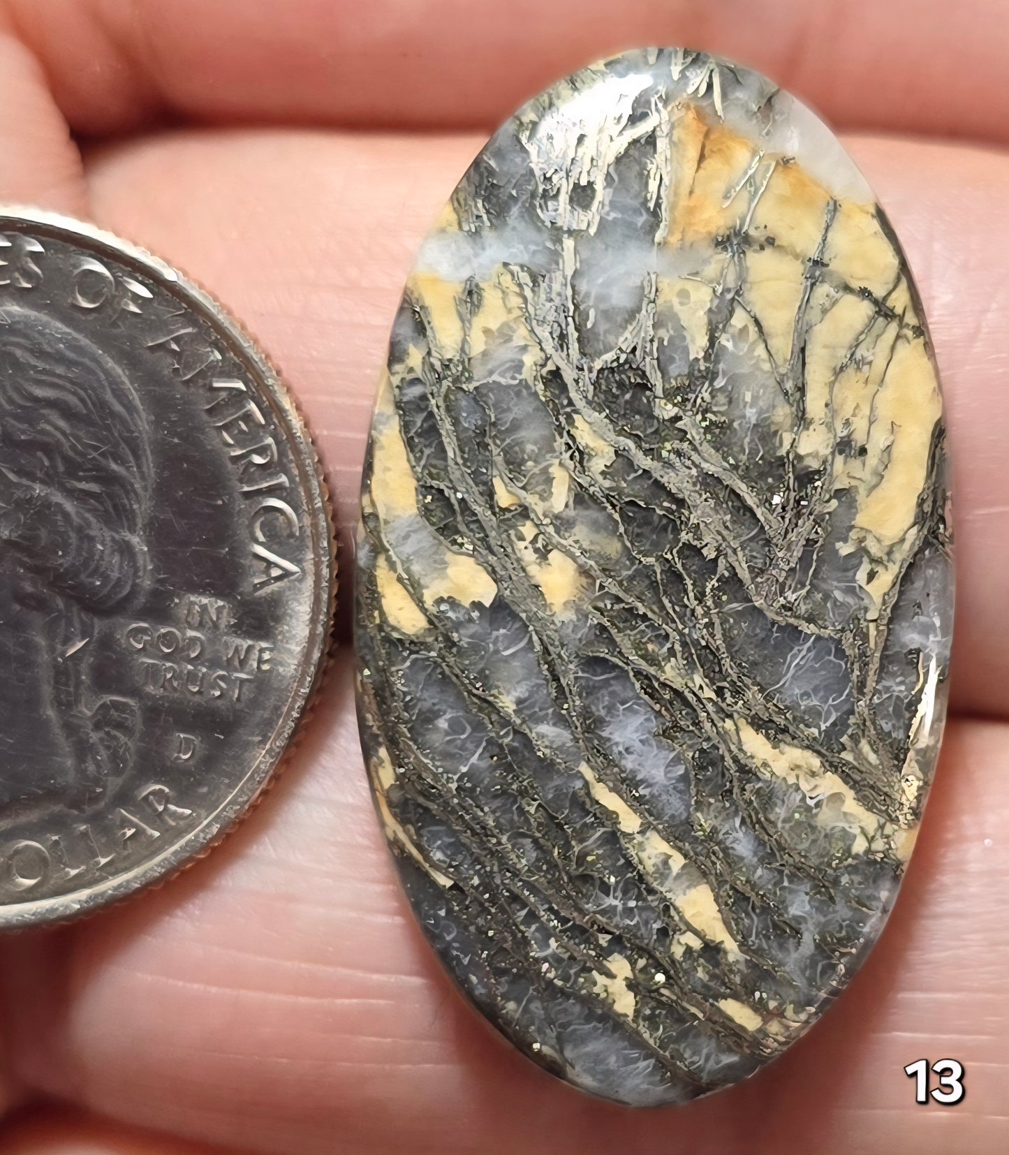 #13 Feather Pyrite