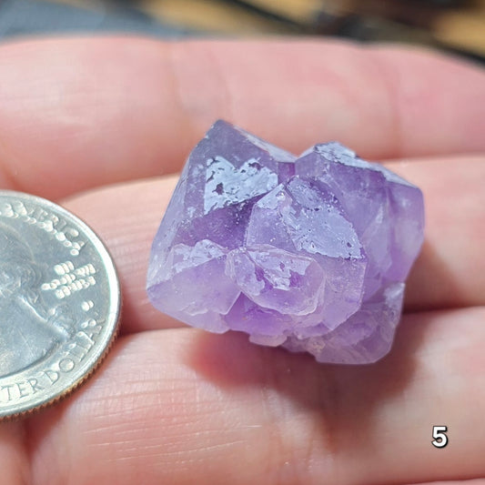 #5 Small Amethyst Cluster