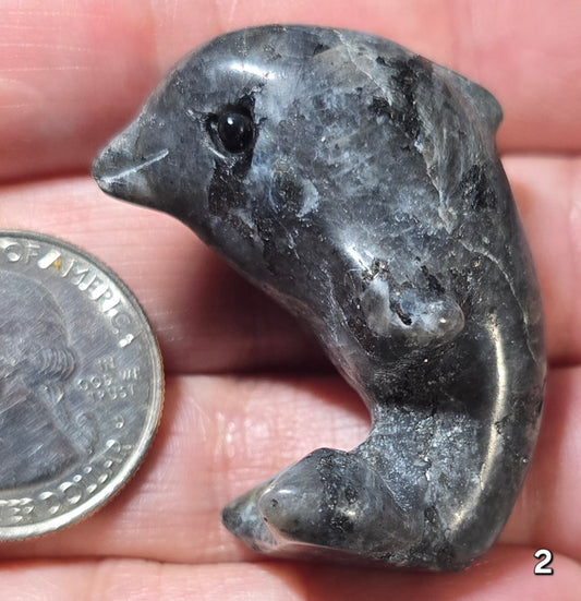 #2 Labradorite Dolphin Carving