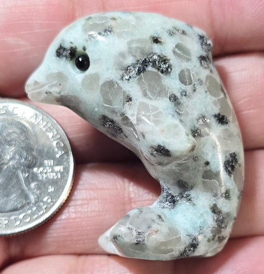 Kiwi Jasper Dolphin Carving