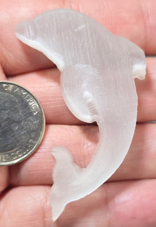 Selenite Dolphin Carving