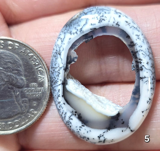 #5 Dendritic Opal Window Druzy Slice