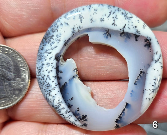 #6 Dendritic Opal Window Druzy Slice