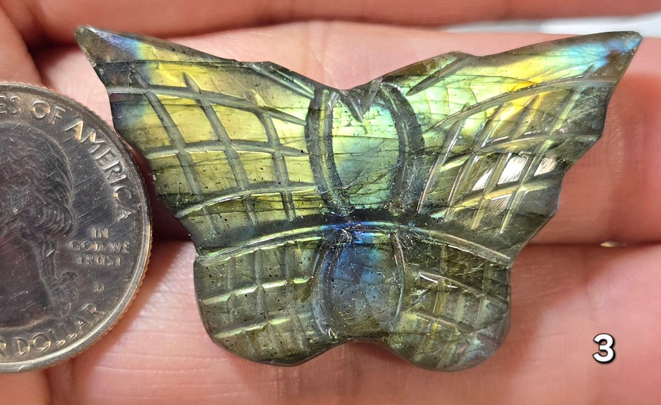 #3 Carved Butterfly Labradorite Cabochon