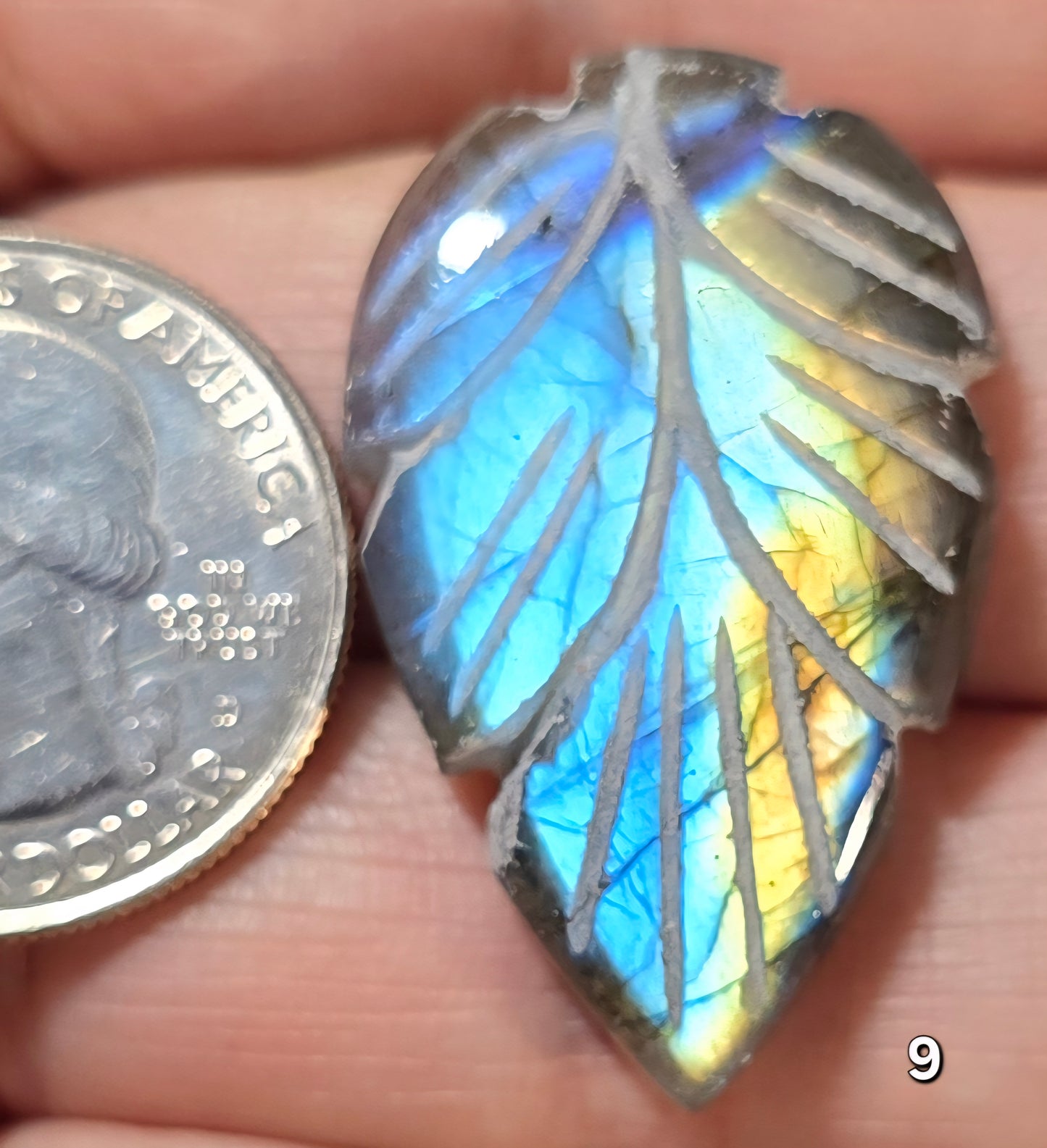 #9 Carved Leaf Labradorite Cabochon