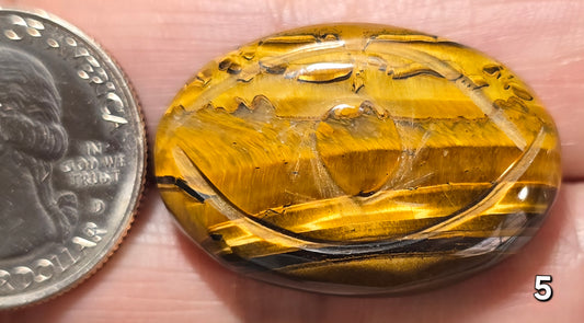 #5 Carved Tiger Eye Cabochon