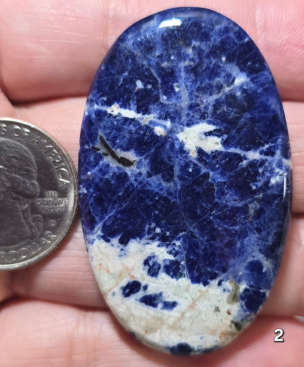 #2 Sodalite Statement Piece