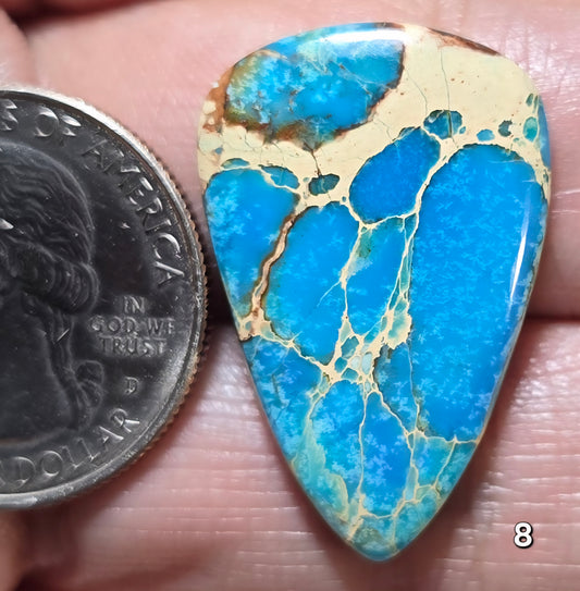 #8 Sea Sediment Jasper