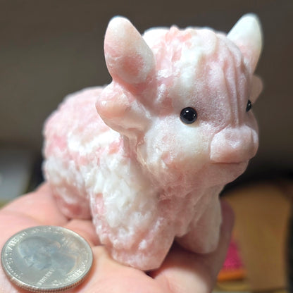 Pink Opal Baby Highland Cow
