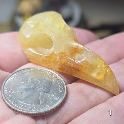 #1 Golden Healer Raven Skull