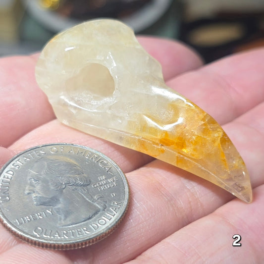 #2 Golden Healer Raven Skull