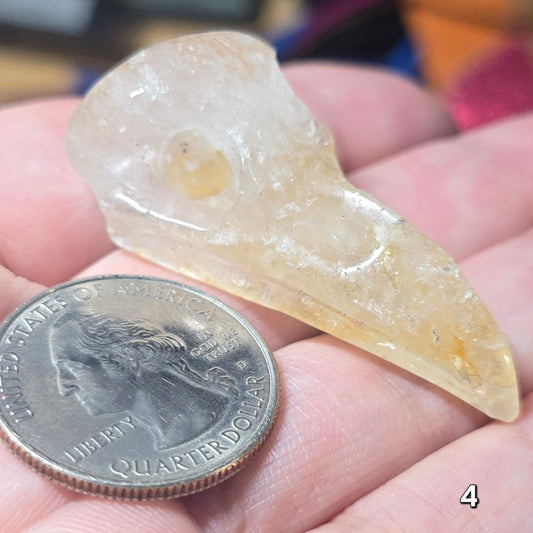 #4 Golden Healer Raven Skull