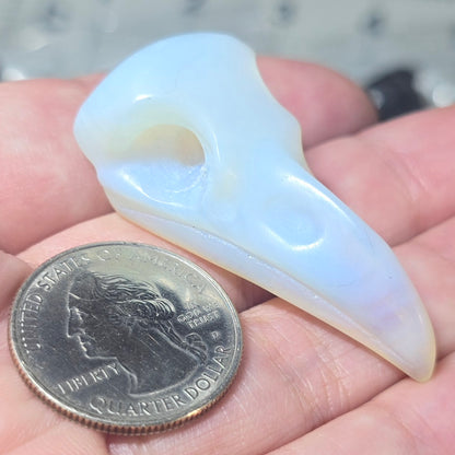 Opalite Raven Skull