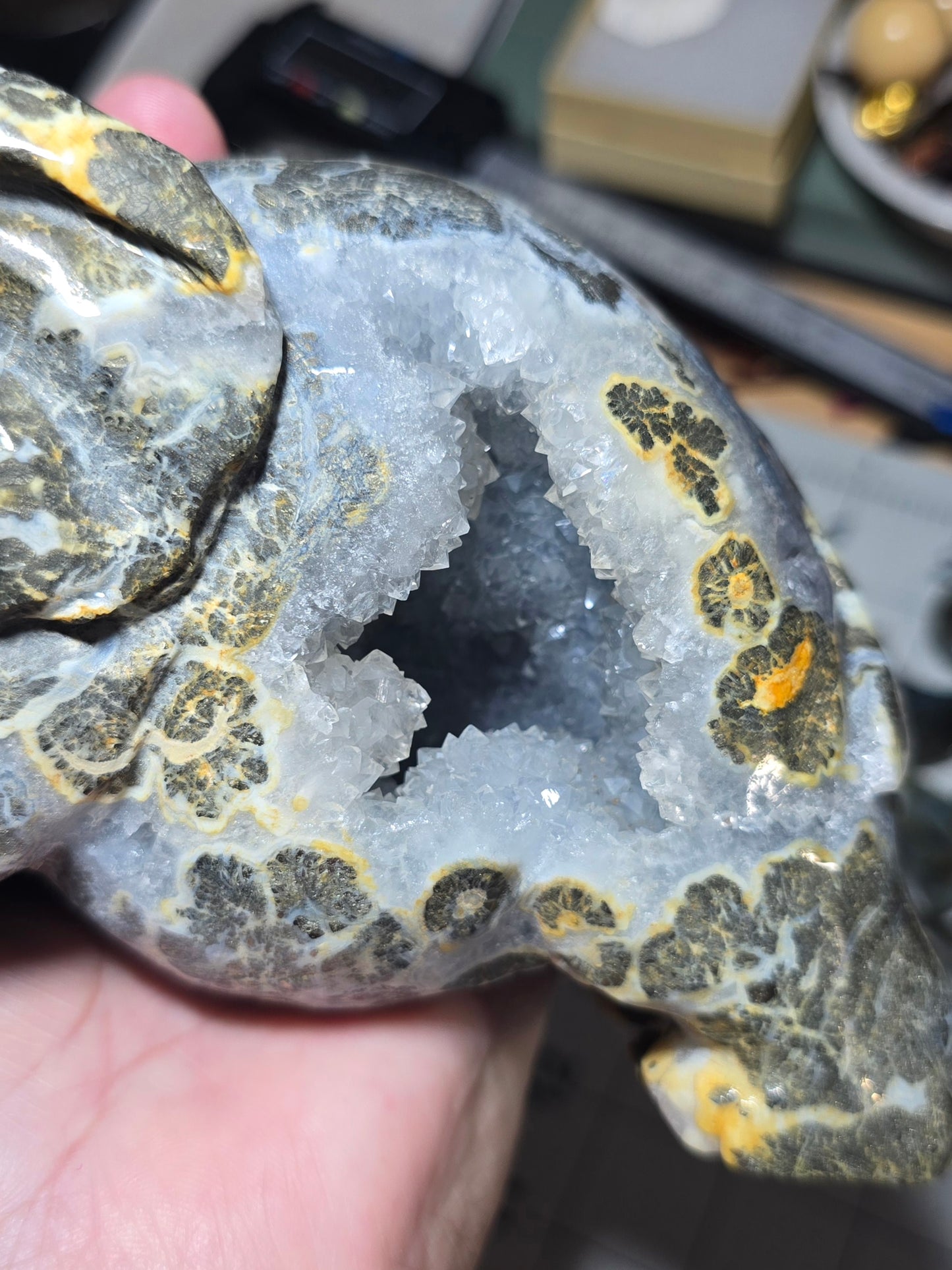 Golden Vein Druzy Agate Elephant