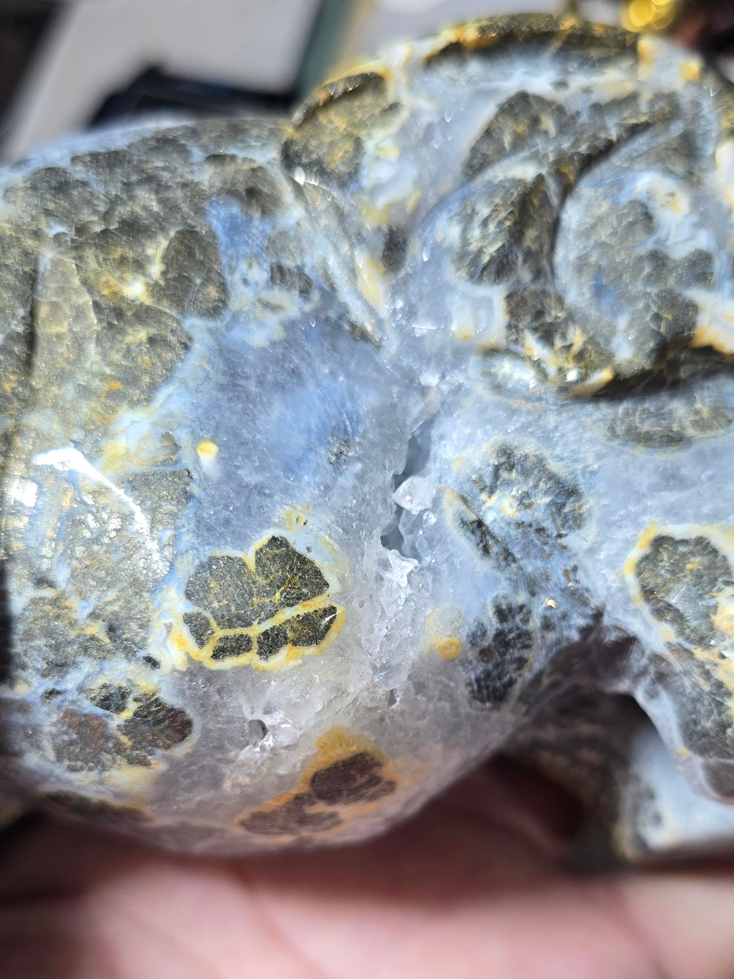 Golden Vein Druzy Agate Elephant