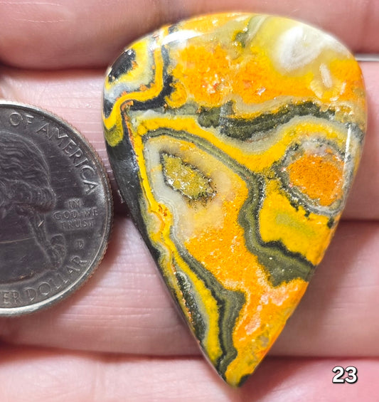 #23 Bumblebee Jasper