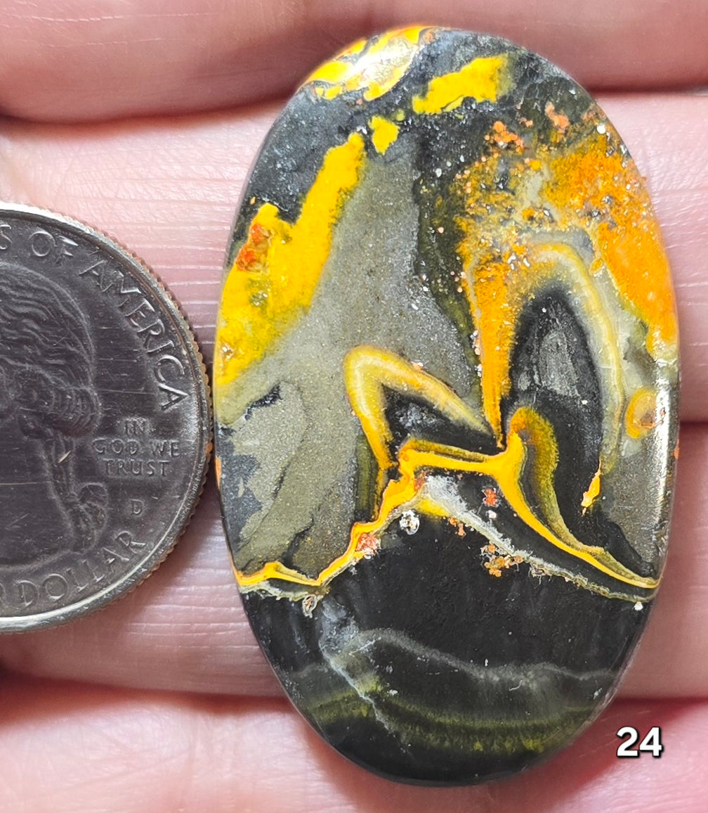 #24 Bumblebee Jasper