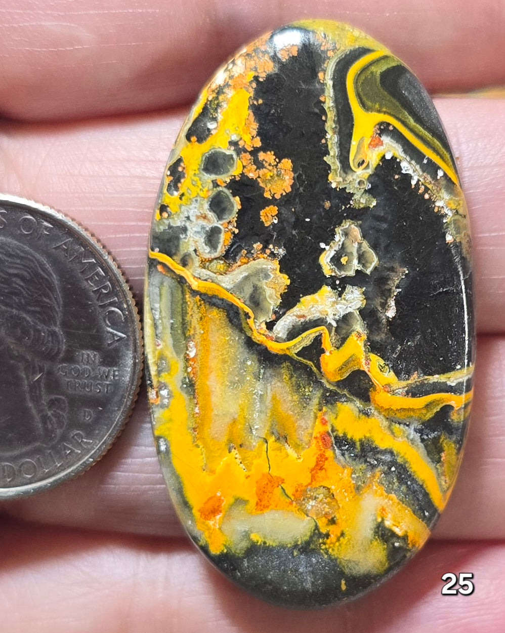 #25 Bumblebee Jasper