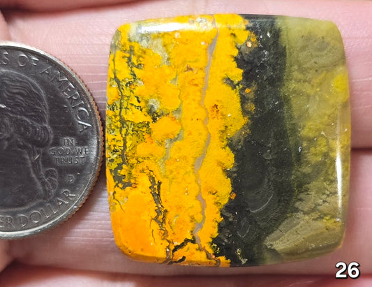 #26 Bumblebee Jasper
