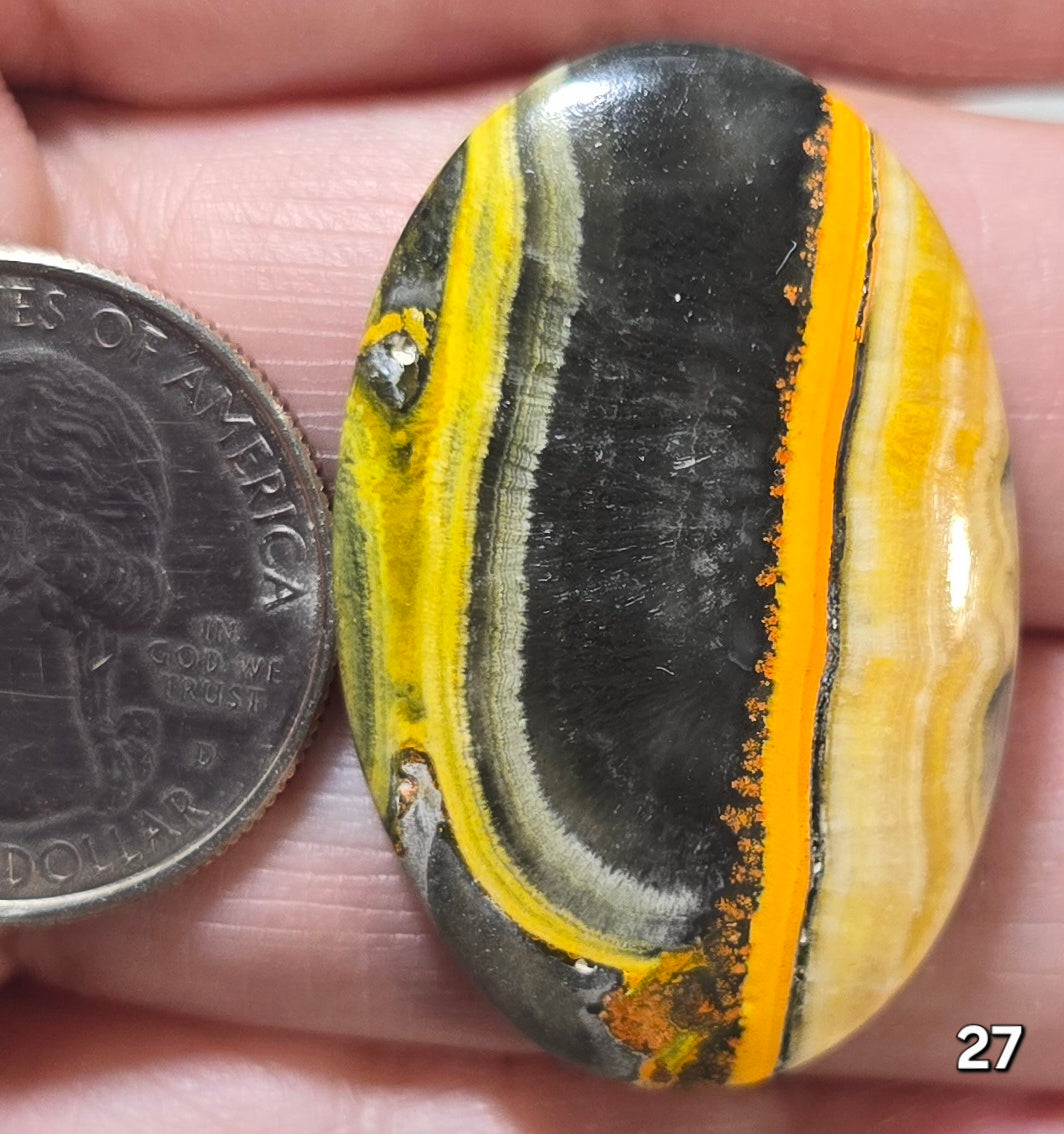 #27 Bumblebee Jasper