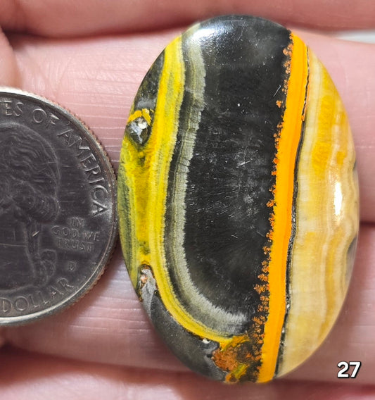 #27 Bumblebee Jasper