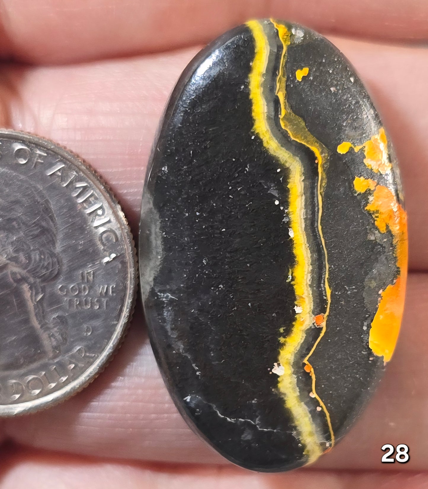 #28 Bumblebee Jasper