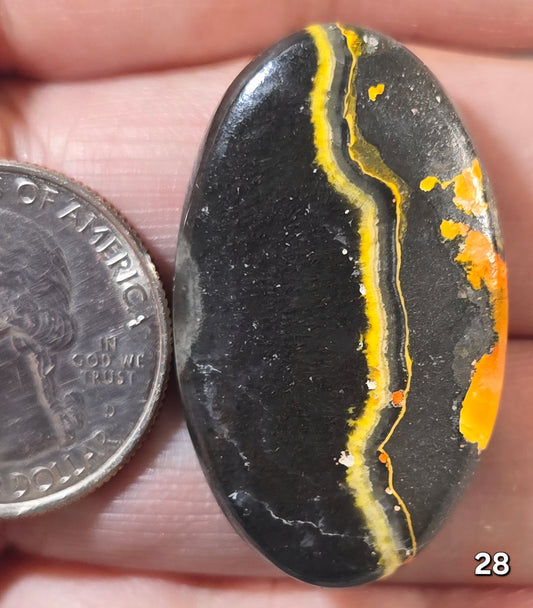 #28 Bumblebee Jasper
