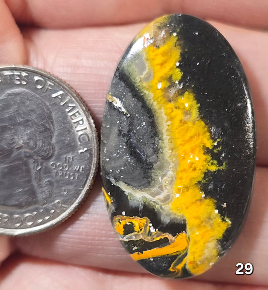 #29 Bumblebee Jasper