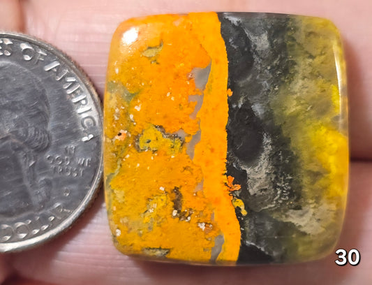 #30 Bumblebee Jasper