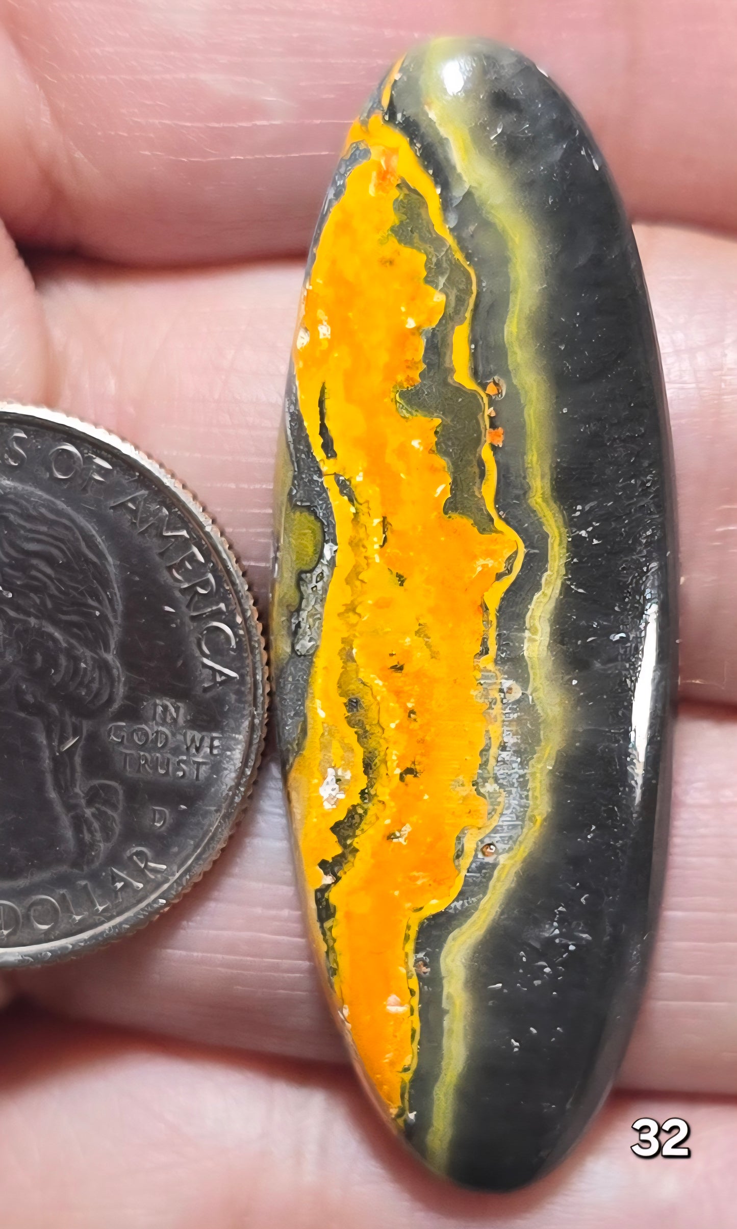 #32 Bumblebee Jasper