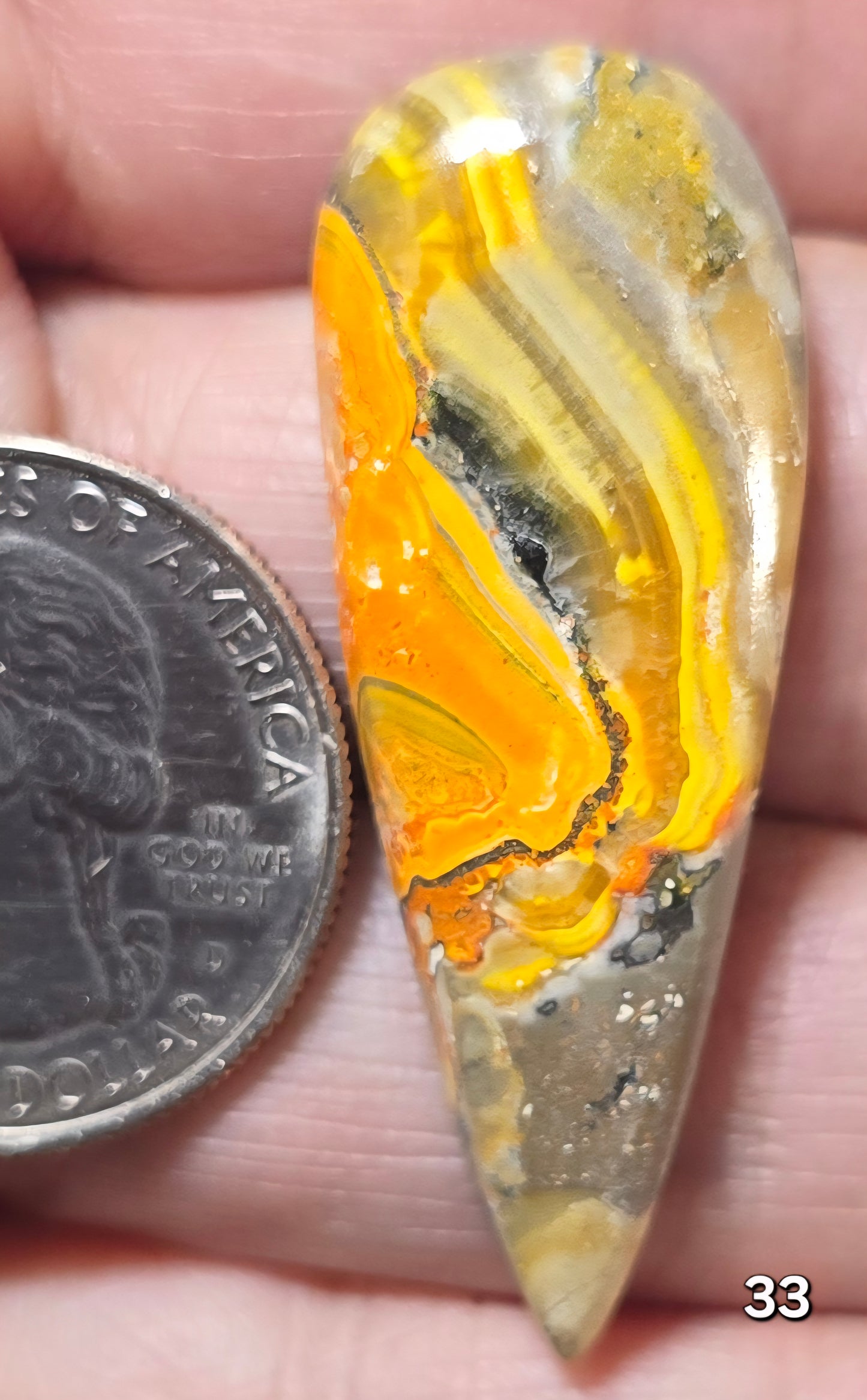 #33 Bumblebee Jasper