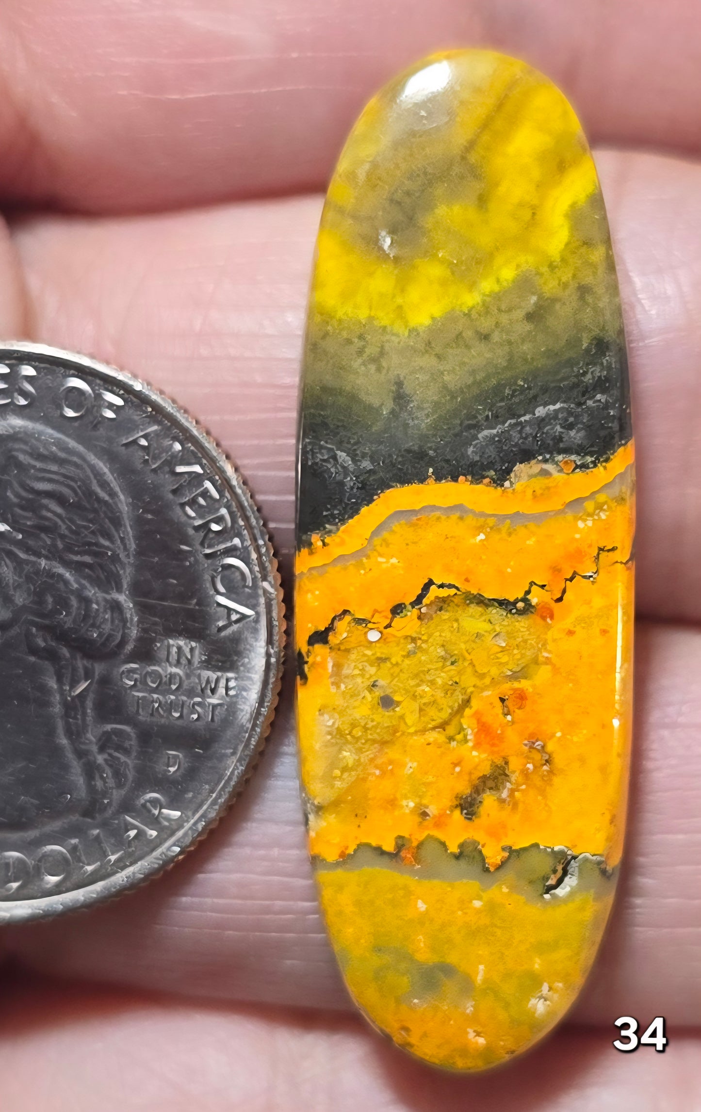 #34 Bumblebee Jasper