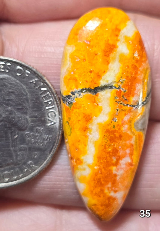 #35 Bumblebee Jasper