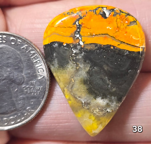 #38 Bumblebee Jasper
