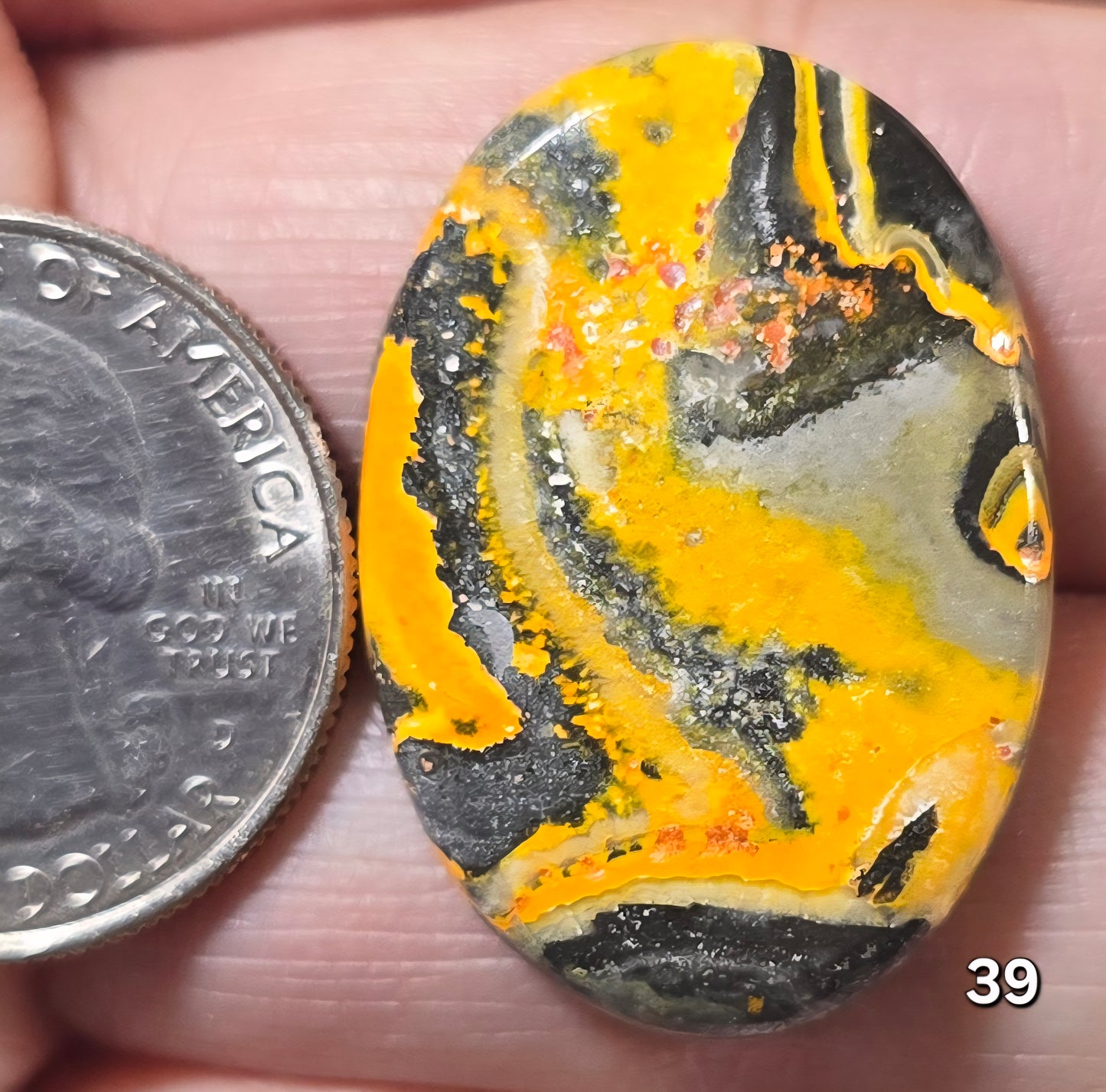 #39 Bumblebee Jasper