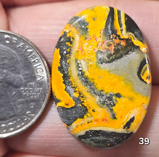 #39 Bumblebee Jasper