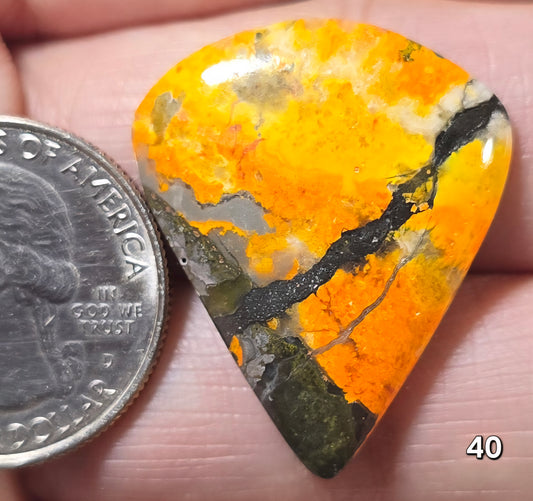#40 Bumblebee Jasper