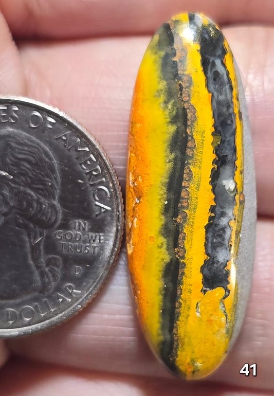 #41 Bumblebee Jasper