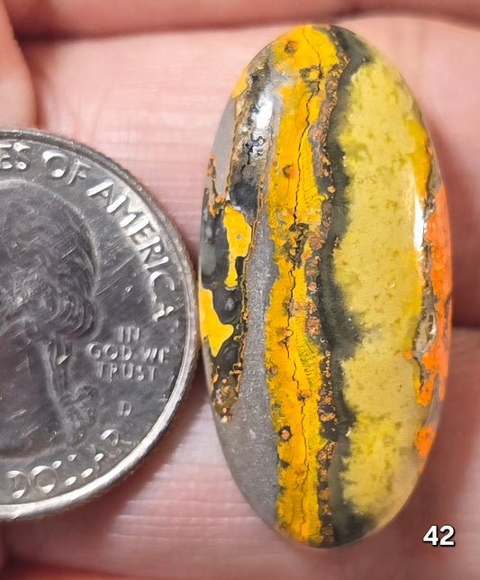 #42 Bumblebee Jasper