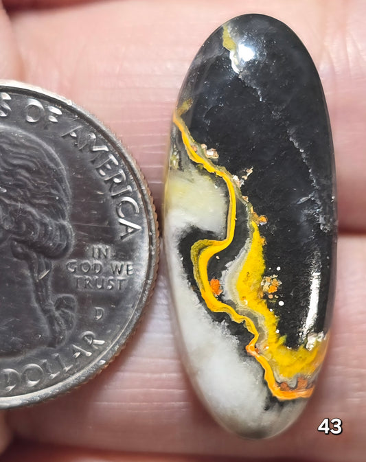 #43 Bumblebee Jasper