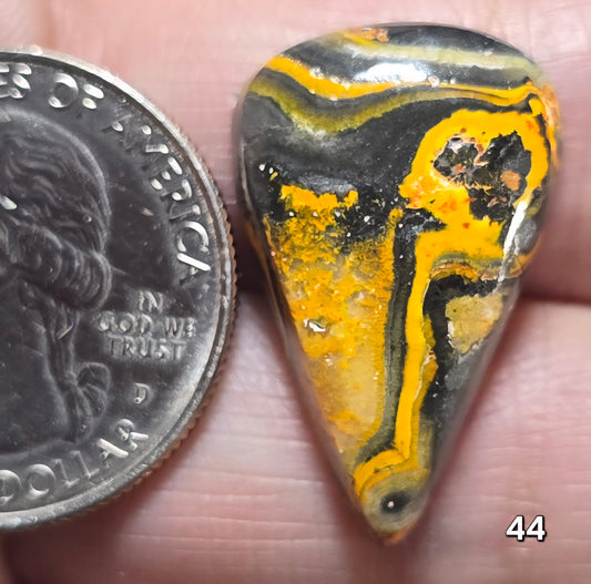 #44 Bumblebee Jasper