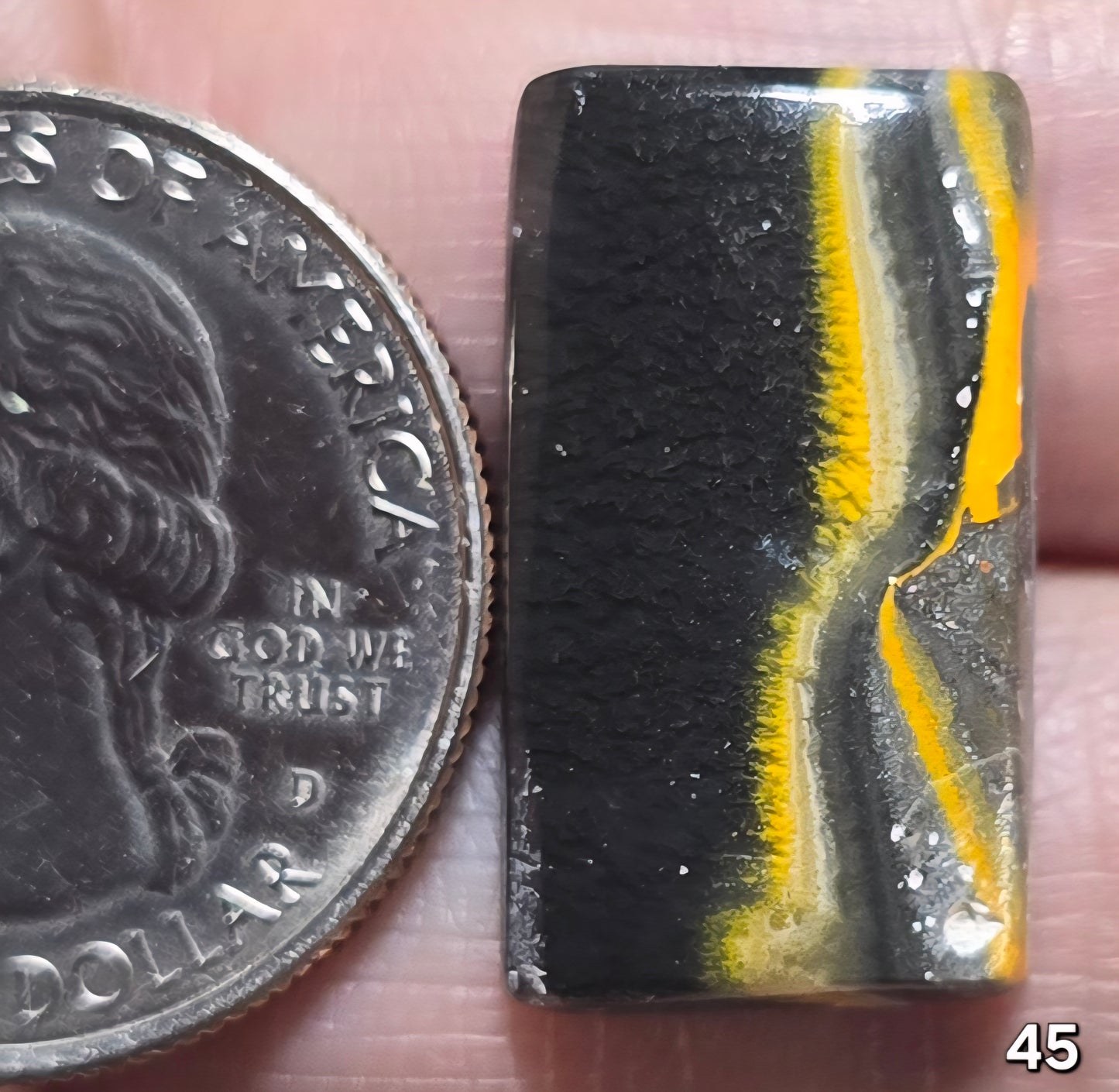 #45 Bumblebee Jasper