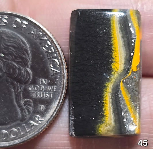 #45 Bumblebee Jasper