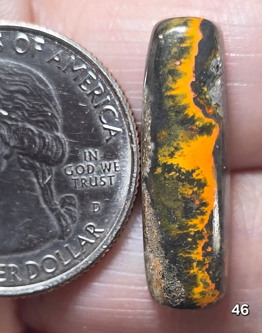 #46 Bumblebee Jasper
