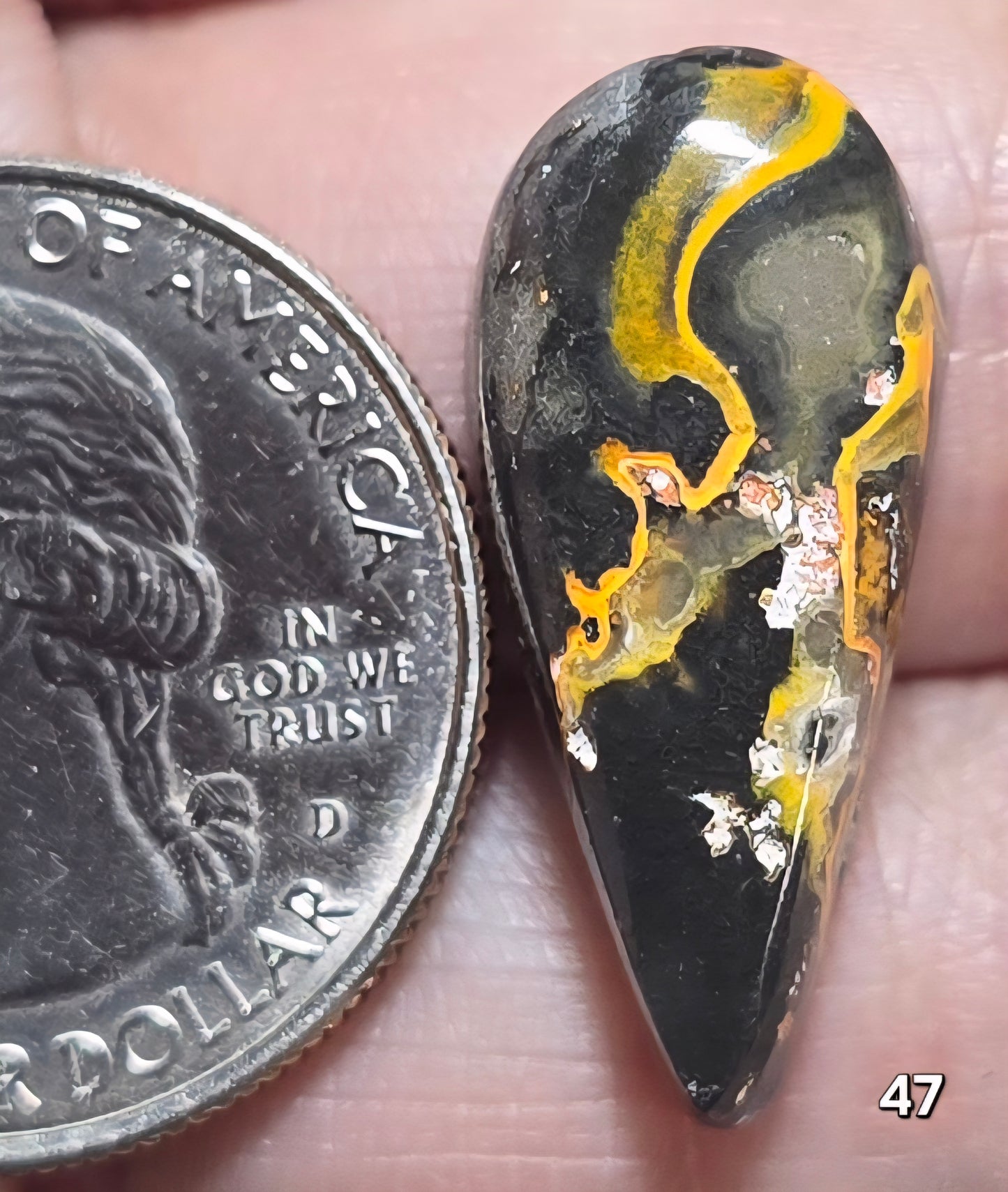 #47 Bumblebee Jasper