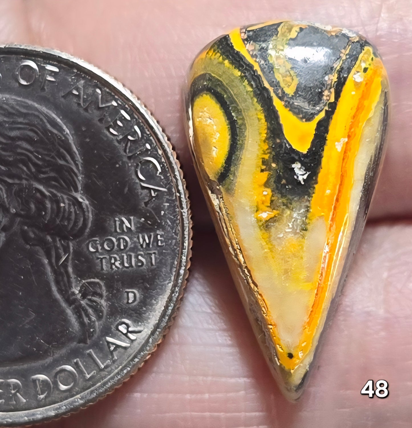 #48 Bumblebee Jasper