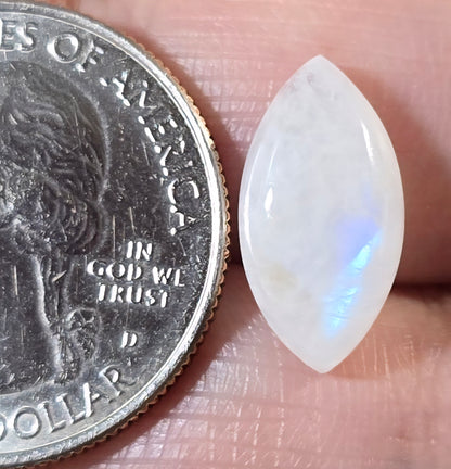 Marquise Shape Moonstone