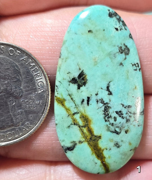 #1 African Turquoise Jasper