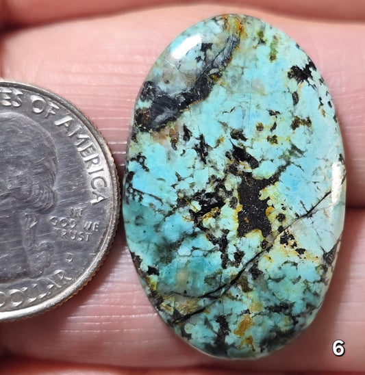 #6 African Turquoise Jasper